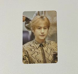 SUPER JUNIOR キュヒョン Repackage リパケ TIMELESS トレカ KYUHYUN Photocard