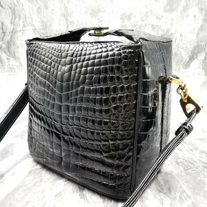 定価53万!!!極美品の一等品!!!【KRISTAR CROCO】極上!!! 極小の鱗!!! クロコダイル 鰐革 ミニ バニティバッグ ハンドバッグ ショルダー 黒