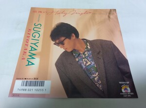 【EPレコード】 最後のHoly Night 杉山清貴