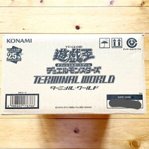 遊戯王OCG デュエルモンスターズ TERMINAL WORLD BOX(ターミナルワールド)未開封カートン(24BOX)