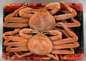 ★数量限定大特価！「北海道産！ボイルオオズワイガニ！」たっぷり約10kg（１杯あたり200〜350g）身入り、味良く大変オススメの一品です！