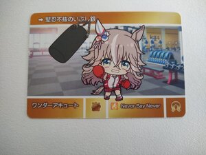 ウマ娘プリティーダービー ワンダーアキュート カードダス Nカード