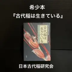 古代稲は生きている