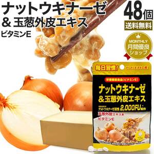 ナットウキナーゼ 納豆 納豆菌 納豆キナーゼ ケルセチン サプリ 72粒*48個セット 約864～1728日分 送料無料 宅配便