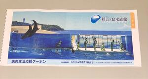 新江ノ島水族館 施設利用券　クーポン　割引券