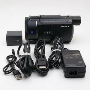 ソニー(SONY) 4K ビデオカメラ Handycam FDR-AX60 ブラック 内蔵メモリー64GB 光学ズーム20倍 空間光学手ブレ補正 (FM1125)