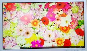 381// I.O DATA LCD-MF211ESW 20.7インチ ワイド 液晶ディスプレイ フルHD/ノングレア/HDMI スタンドなし