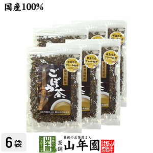 健康茶 ごぼう茶 国産 70g×6袋セット 宮崎県産 食べられるごぼう茶 送料無料