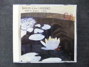 CD 洋楽　　David＆The Citizens Until the Sadness is Gone