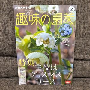 NHKテキスト趣味の園芸 2022年2月号 クリスマスローズ