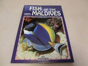 【送料無料】本　洋書「FISH OF THE MALDIVES」モルディブ　魚