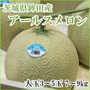 【Good】すぐ発送！茨城産 JAほこた『アールスメロン』大玉3～5玉 7～9kg