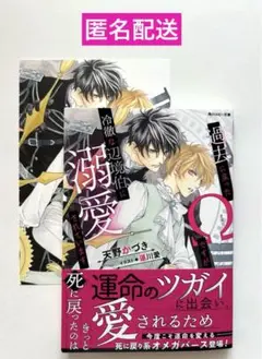 過去に戻ったΩですが冷徹な辺境伯に溺愛されています【特典付き】 天野かづき