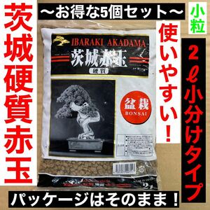 【日本全国送料無料】二本線茨城硬質赤玉-2L-小粒　5個セット