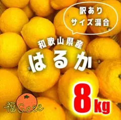 1訳あり 和歌山県産有田のはるか サイズ混合 8kg 有田みかん