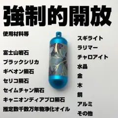 強制的上限解放青チャーム②柄 強力 霊石 座敷わらし 金運 宝くじ高額当選1/4