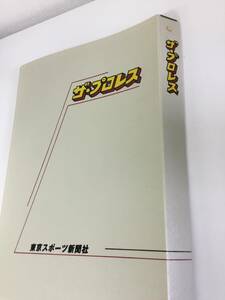 ★【売り切り！】週刊ザ・プロレス 東京スポーツ新聞社 No.90 ～No.110 美品★