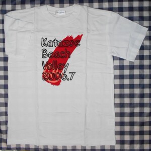 mizuno　ミズノ　Tシャツ　Lサイズ.