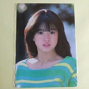 中森明菜　下敷き　新品未開封②