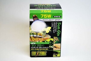 ＧＥＸ　エキゾテラ　サングロー　７５Ｗ