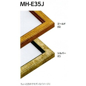 デッサン用額縁 樹脂製フレーム MH-E35J サイズ八０(太子)