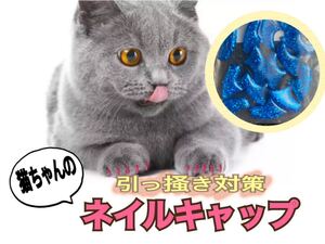 新品　青ラメ　ネイルキャップ　猫　ネコ　ネイル　キャップ　爪　爪対策　ひっかき対策　ひっかき　バリバリ　バリバリ対策 青