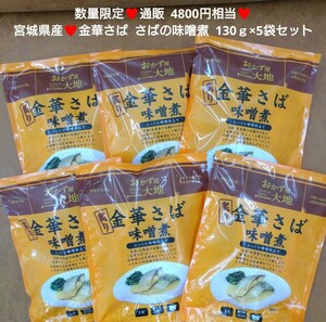 宮城県産 金華さば味噌煮 130ｇ×6袋 さば 鯖 サバの味噌煮 魚