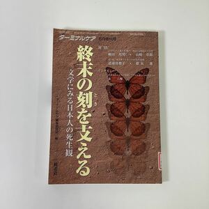 【除籍本】ターミナルケア 6月増刊号 終末の刻を支える 文学にみる日本人の死生観　三輪書店【ta01c】