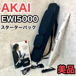 Akai Professional 管楽器 アカイ ワイヤレス ウインド・シンセサイザー EWI5000 スターターパック テキスト 受信機 CD ギグバッグ ケース