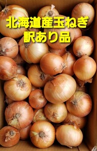 ★北海道産 玉ねぎ 訳あり品 約 10キロ