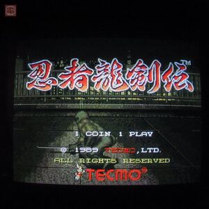 1円〜 テクモ/TECMO 忍者龍剣伝 インスト純正 動作確認済【20