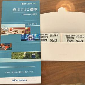 【匿名配送無料】西武ホールディングス 株主優待券　2024年11月30日まで　西武鉄道 冊子 切符2枚