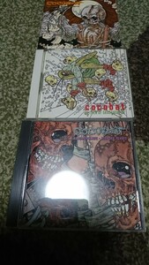 ココバット cd ３枚セット cocobat cd