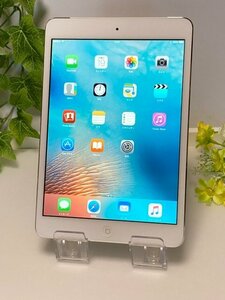 美品 iPad mini 16GB Wi-Fi+Cellularモデル au MD543J/A 7.9インチ アップル A1455 タブレット本体 バッテリー良好 送料無料 Y124