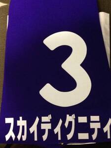 即決競馬■１２有馬記念レプリカゼッケン■スカイディグニティ