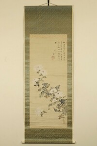 【真作】掛軸「島田元旦画 石井高賛 菊花図」江戸後期 絵師 鳥取藩士 漢詩人谷麓谷次男 円山応挙師事 沈南蘋画法 書画