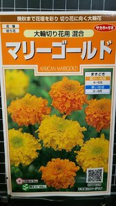 ３袋セット マリーゴールド 大輪 切り花 まんじゅぎく 万寿菊 種 郵便は送料無料