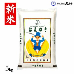 新米 令和6年産 米 お米 5kg はえぬき 白米 山形県産 送料無料