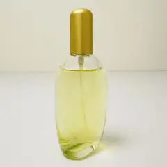 資生堂 シャンデュクール 50ml