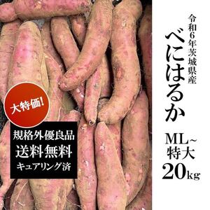 令和6年茨城県産　サツマイモ　さつまいも　紅はるか　20キロ　訳あり　20kg 家庭用　大特価品