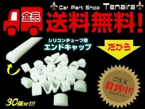 LEDテープライトに シリコンチューブ 用 エンドキャップ 30個セット テープライト 用 切断後 メクラキャップ 30個 送料無料/1