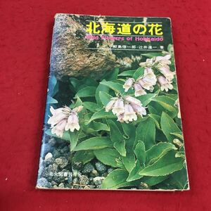 e-262※14 北海道の花 鮫島惇一郎・辻井達一:著 北大図書刊行会 植物 花 自然