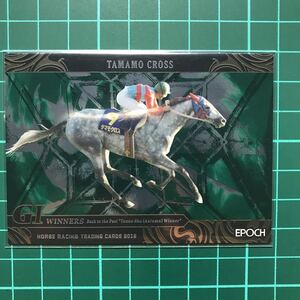 タマモクロス 南井克巳 26枚限定 インサートカード EPOCH ホースレーシング カード 2019 G1 Winners 天皇賞・秋