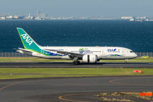 飛行機　デジタル画像 ボーイング787 グリーンジェット ANA 全日空 8