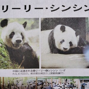 読売新聞 パンダ リーリー シンシン 上野動物園 2024年9月26日夕刊