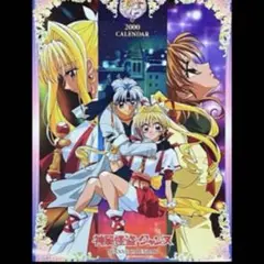 【レア】希少 新品未開封 神風怪盗ジャンヌ 2000年カレンダー 種村有菜