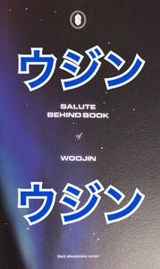 AB6IX ウジン WOOJIN 個別ミニブックレット SALUTE リパケ A NEW HOPE トレカ photocard