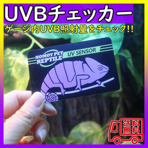 UVBチェッカー 紫外線テスター 爬虫類ランプ 太陽光