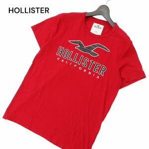 HOLLISTER ホリスター 春夏 半袖 ビッグ ロゴ刺繍★ カットソー Tシャツ Sz.M　メンズ 赤　C4T04691_5#D