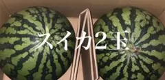 【熊本県産】 旬のスイカ 4-5kg 2玉箱入り